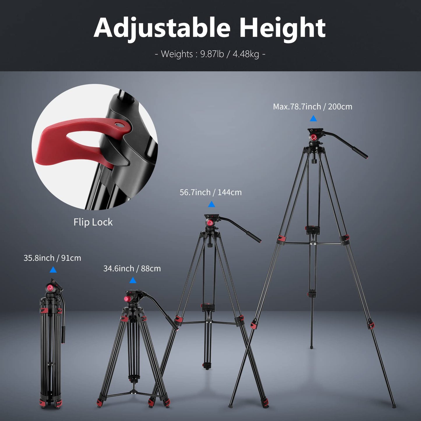 NEEWER 79"/200cm Video Tripod, Heavy Duty Aluminum Alloy Camera Tripod Stand with 360° Fluid Drag Head, QR Plate Compatible with Canon Nikon Sony and Other DSLR Camera Camcorder, Load Up to 17.6lb/8kg